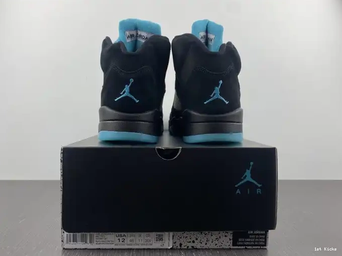 DD0587-047 Jordan Air 5 Aqua 0616